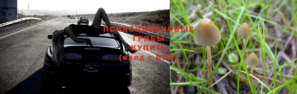 ALPHA PVP Горнозаводск
