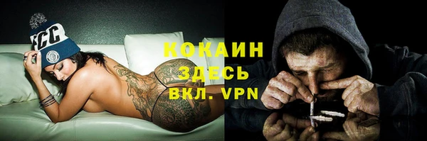 эйфоретик Горняк