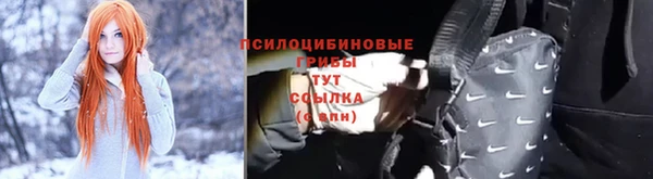 прущие крисы Гусиноозёрск