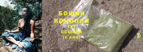 PSILOCYBIN Гусь-Хрустальный