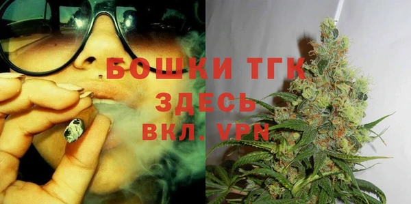 эйфоретик Горняк