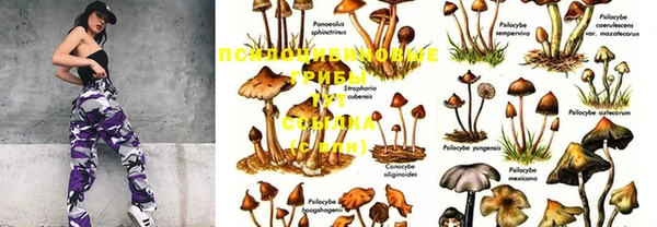 прущие крисы Гусиноозёрск