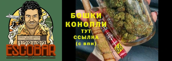 эйфоретик Горняк