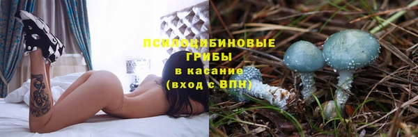 амф Горно-Алтайск