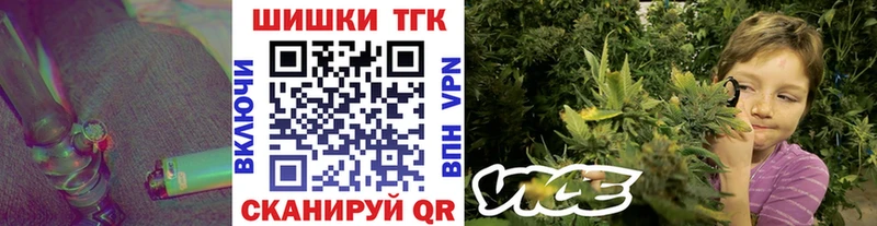 Бошки марихуана семена  Няндома 